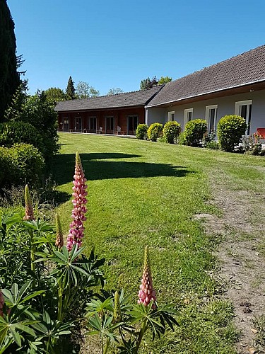 97977183_892665831158154_4982367770818641920_n