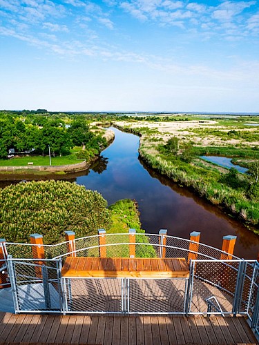 Belvedere Favier Anthony (32) redi