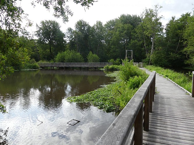 MARAIS DÉPARTEMENTAUX DE LA GRANDE ÎLE