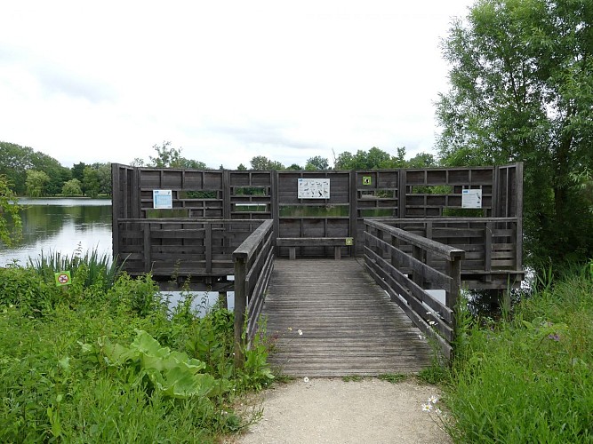 LE GRAND OBSERVATOIRE