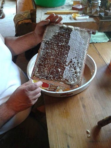 Ferme auberge de l'Entzenbach