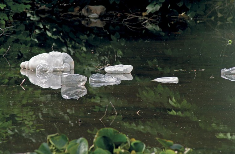 Le Peuple de l’Eau II : Bêtes et Chimères des Lacs et Rivières