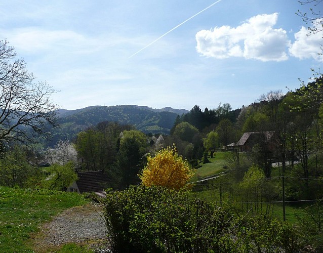 Meublé de M. Jean-Louis Willem