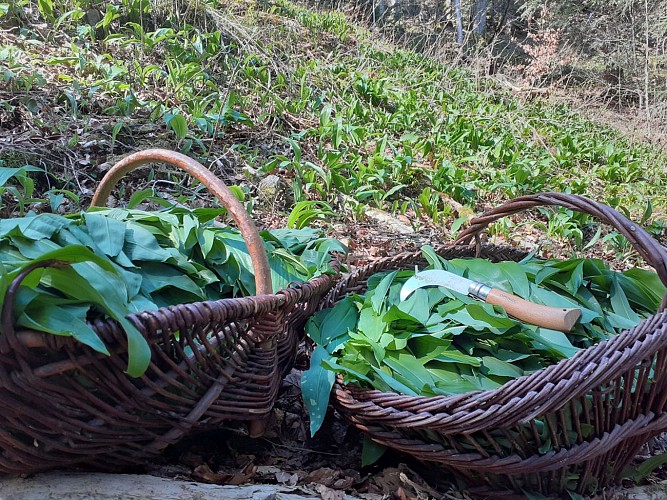 Berggasthof Grand Langenberg