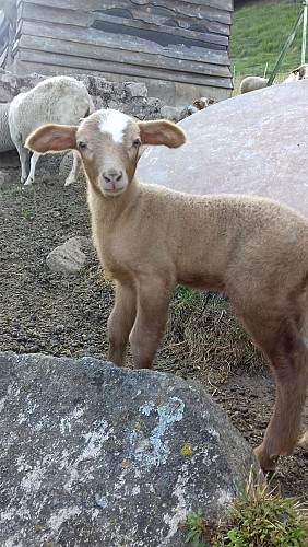 Farmhouse inn Grand Langenberg