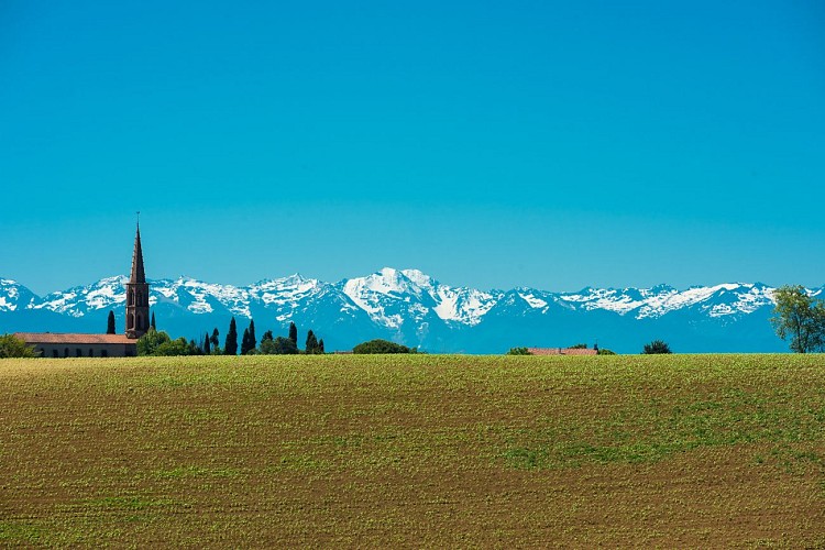 montaut_paysage_pyrenees_pri@pierrehonore