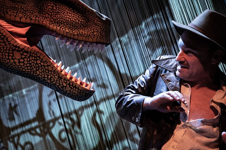 Théâtre, La Folle histoire de l'île mystérieuse