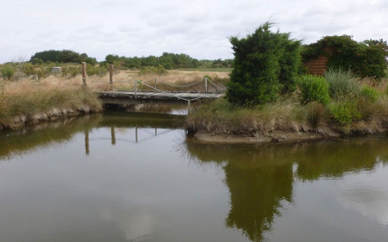 Visite guidée - Au fil du marais