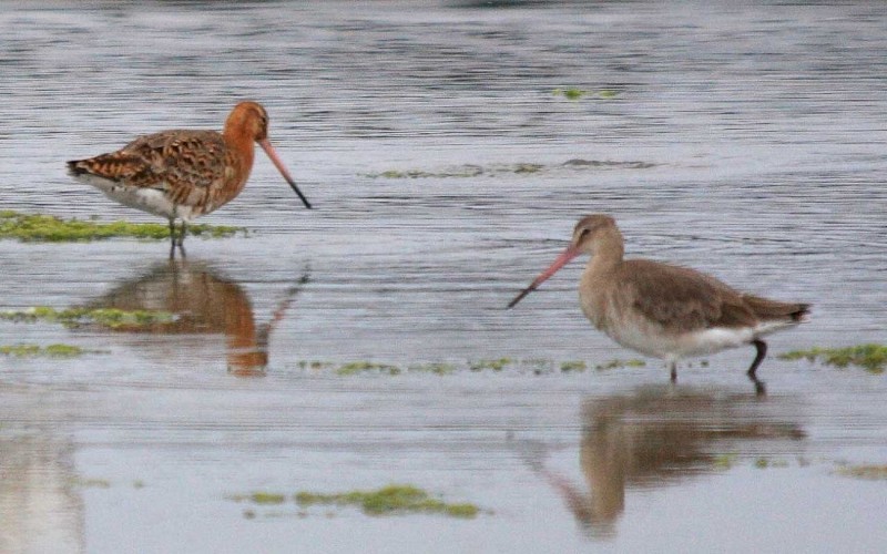 Visite guidée - Le monde de la nuit