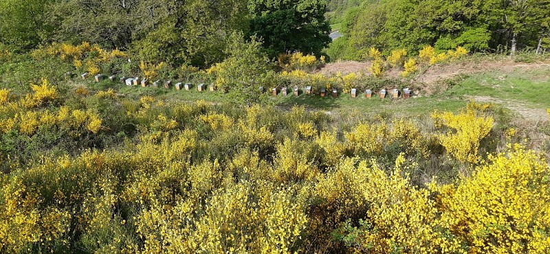 Méditerranée-Cévennes - Itinéraire complet Sur les Pas des Huguenots