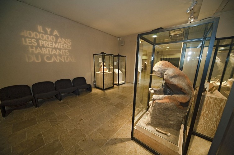 The museum of Art and Archeology