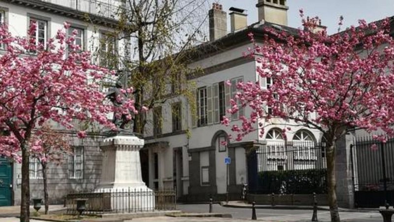 Le café de ma mère