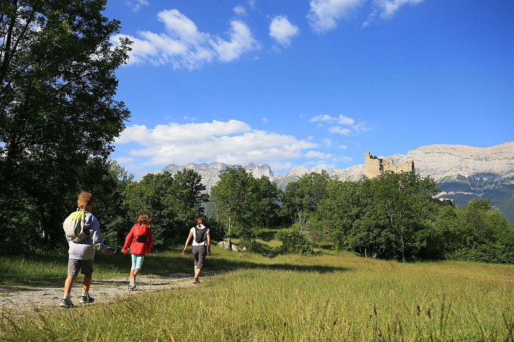 Château fort de Saint-Firmin