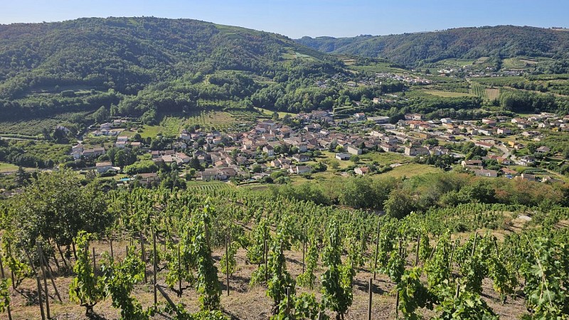 Village viticole de Saint-Désirat