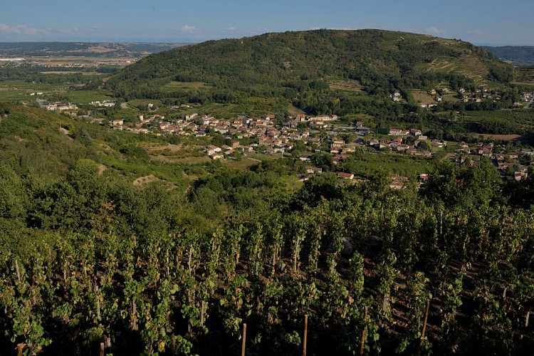 Village viticole de Saint-Désirat