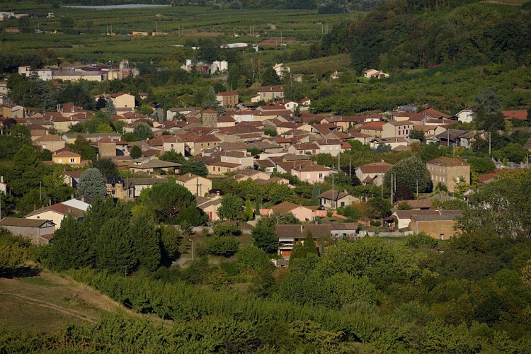 Village viticole de Saint-Désirat
