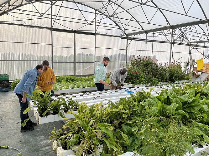 Potager Aquatique les Sourciers