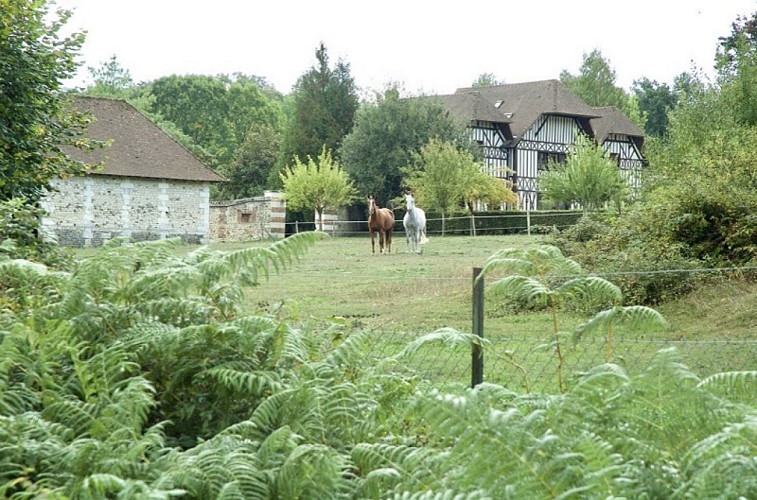 CHAMBRES D'HOTES - 1. Pommier Doux
