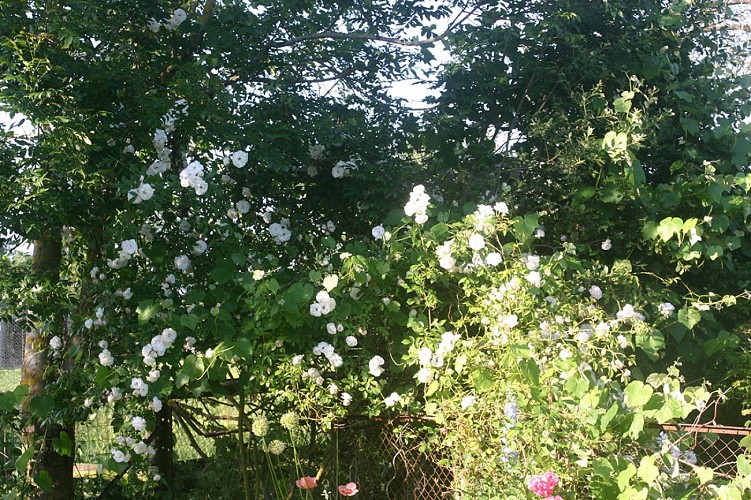 Gite chez loupi à Epaignes (12)