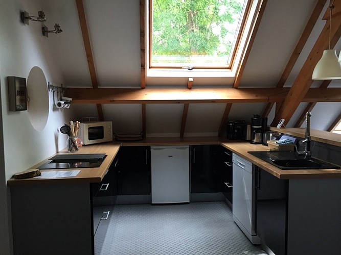 legitedufrene--1--red