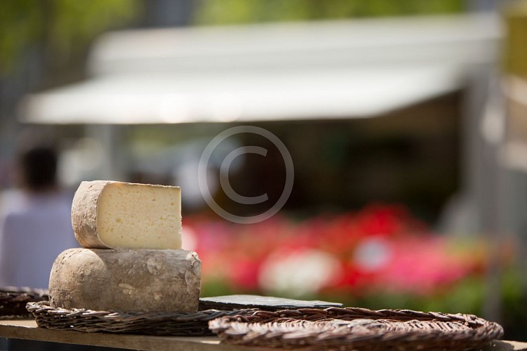 MARCHE MAULEON_ARO9514