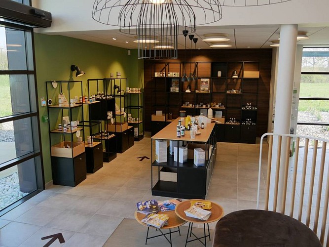 Atelier Créativ'Aroma enfant by Salvia