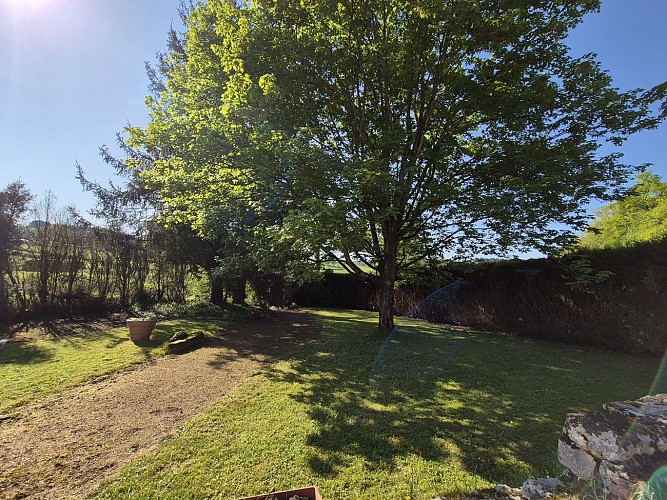 Profitons de l'ombrage