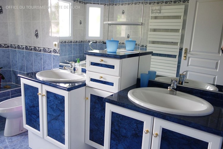 VILLA CLOS - ALBY - SDB