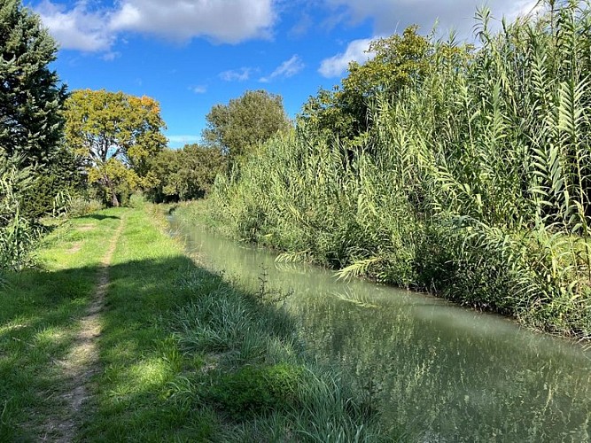 Canal de Carpentras