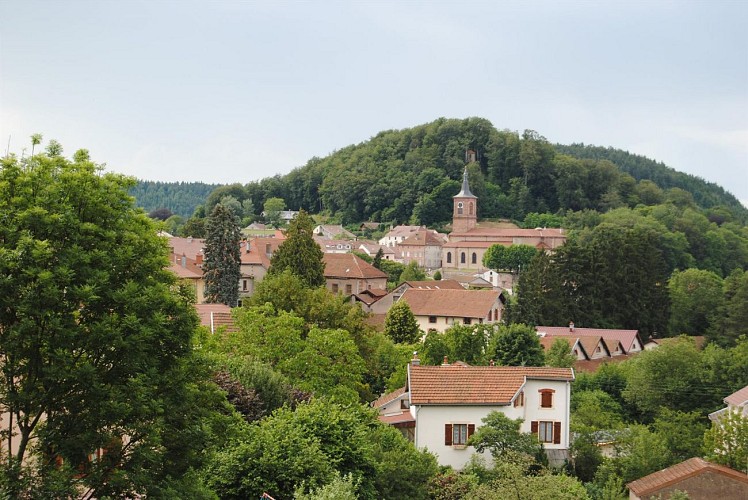 Vue sur Bruyères Vosges