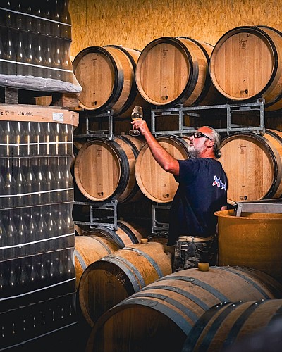 VIGNES BRACO JUIL 25 (34)