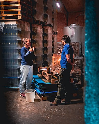 VIGNES BRACO JUIL 25 (44)