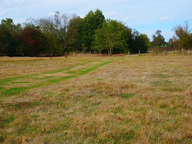 Sentier Rosa Bonheur