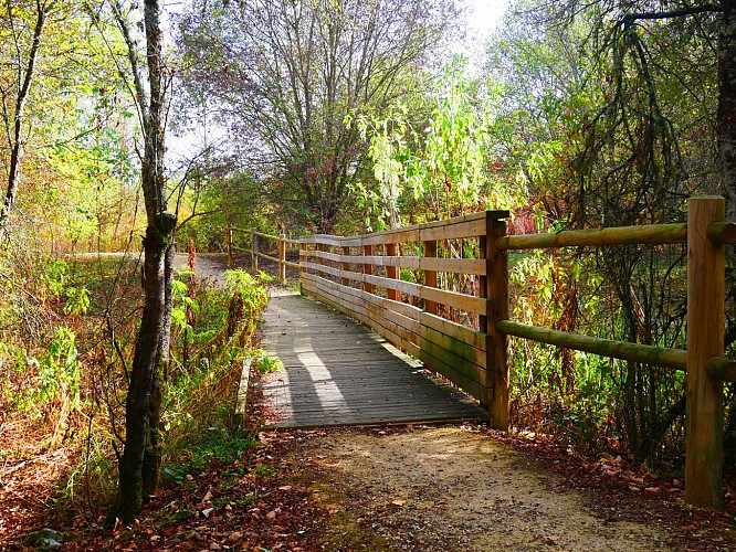 Sentier Rosa Bonheur