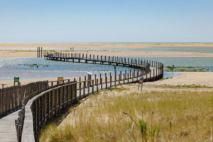 Réserve naturelle nationale de la Belle Henriette