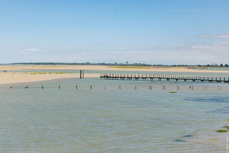 Réserve naturelle nationale de la Belle Henriette