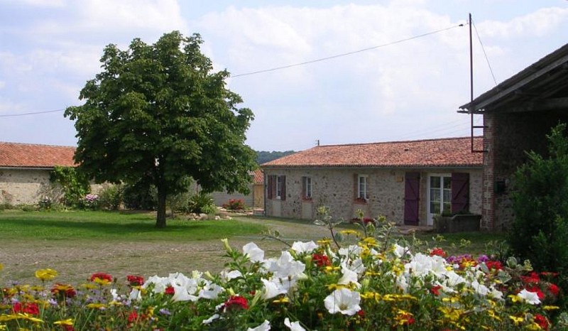 Gîte Vieil Mur (4 - 6 personnes)