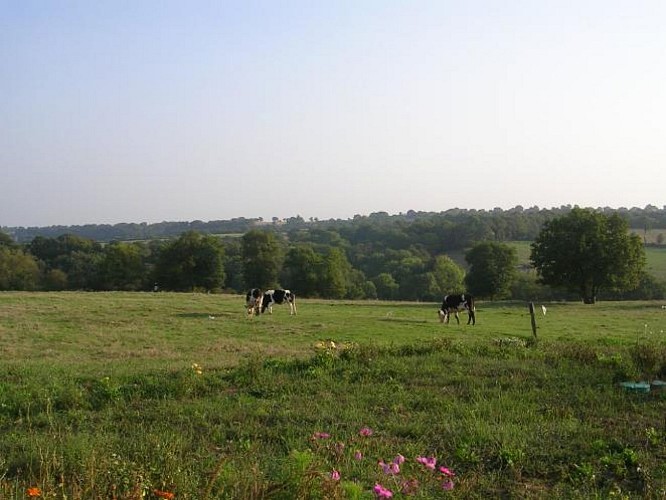 Gîte Vieil Mur (4 - 6 personnes)