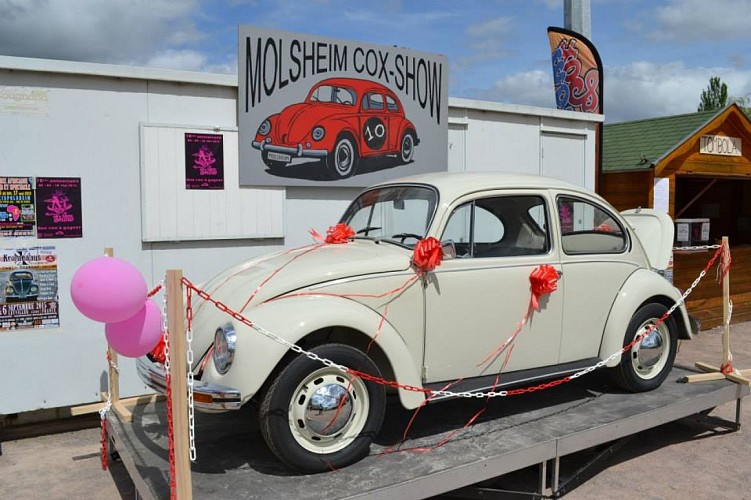 Cox show 2015 à Molsheim