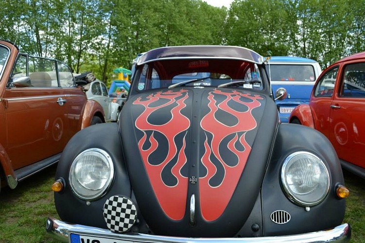 Cox show 2015 à Molsheim