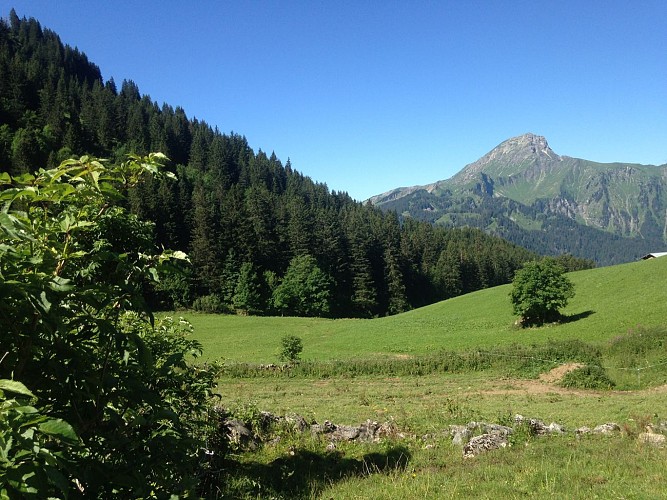 Chalet d'alpage de Barbossine