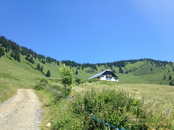 Chalet d'alpage de Barbossine