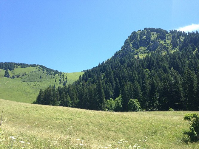 Chalet d'alpage de Barbossine