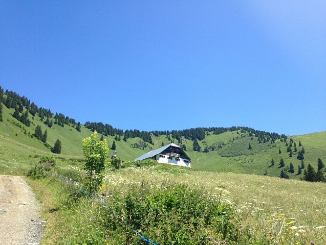 Chalet d'alpage de Barbossine