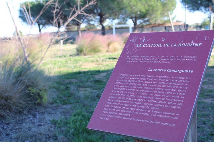 Parc Public de Culture Camarguaise