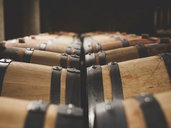 sirtaqui 800*600 - 1