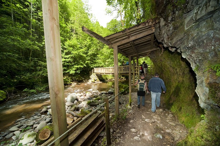 Discovery trail of the Gorges de la Jordanne