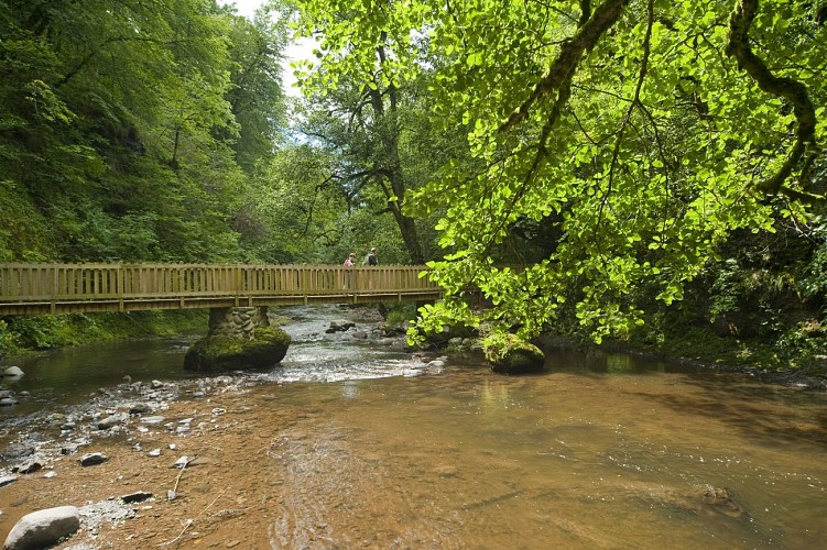Sentier de découverte des Gorges de la Jordanne - Réouverture le 13 mai 2026