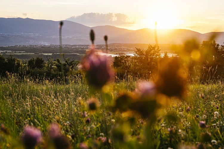 Madone et point de vue