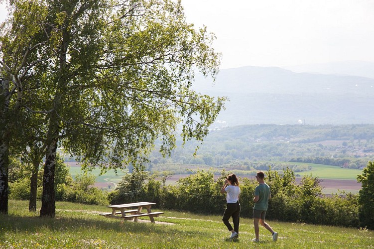 Madone et point de vue